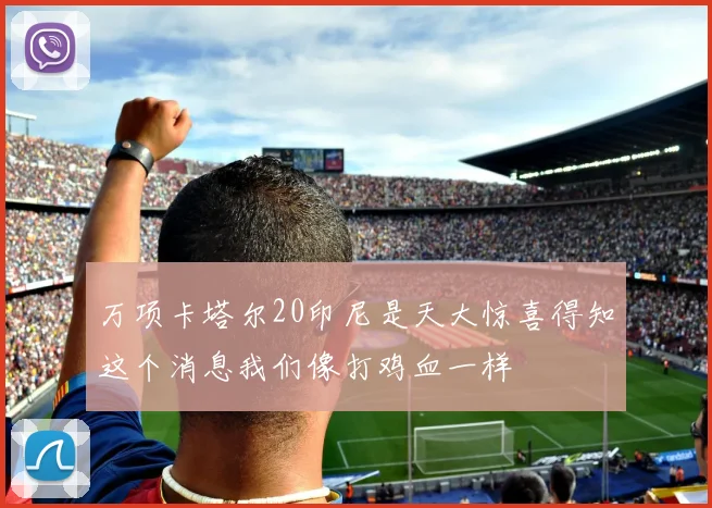 万项卡塔尔20印尼是天大惊喜得知这个消息我们像打鸡血一样