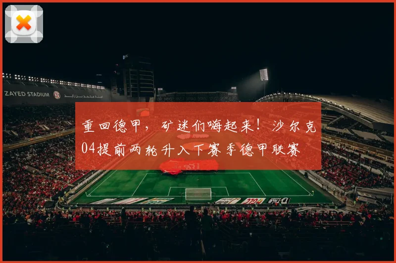 重回德甲，矿迷们嗨起来！沙尔克04提前两轮升入下赛季德甲联赛