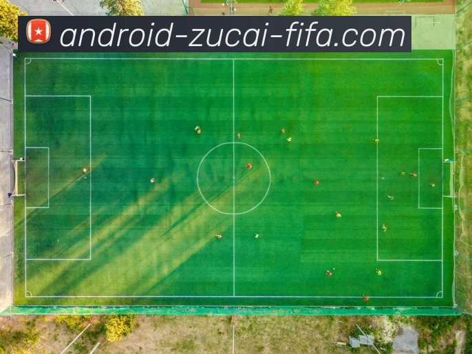 App Interface Preview